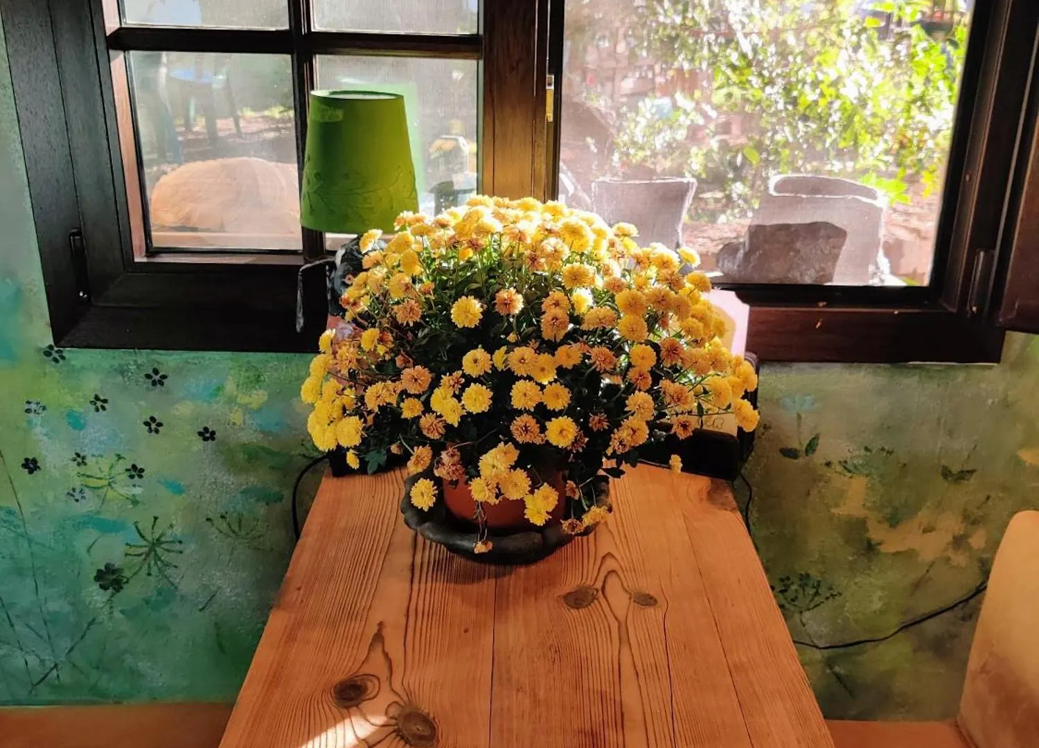 Estudio Wabi-Sabi Santa Brigida  Homestay