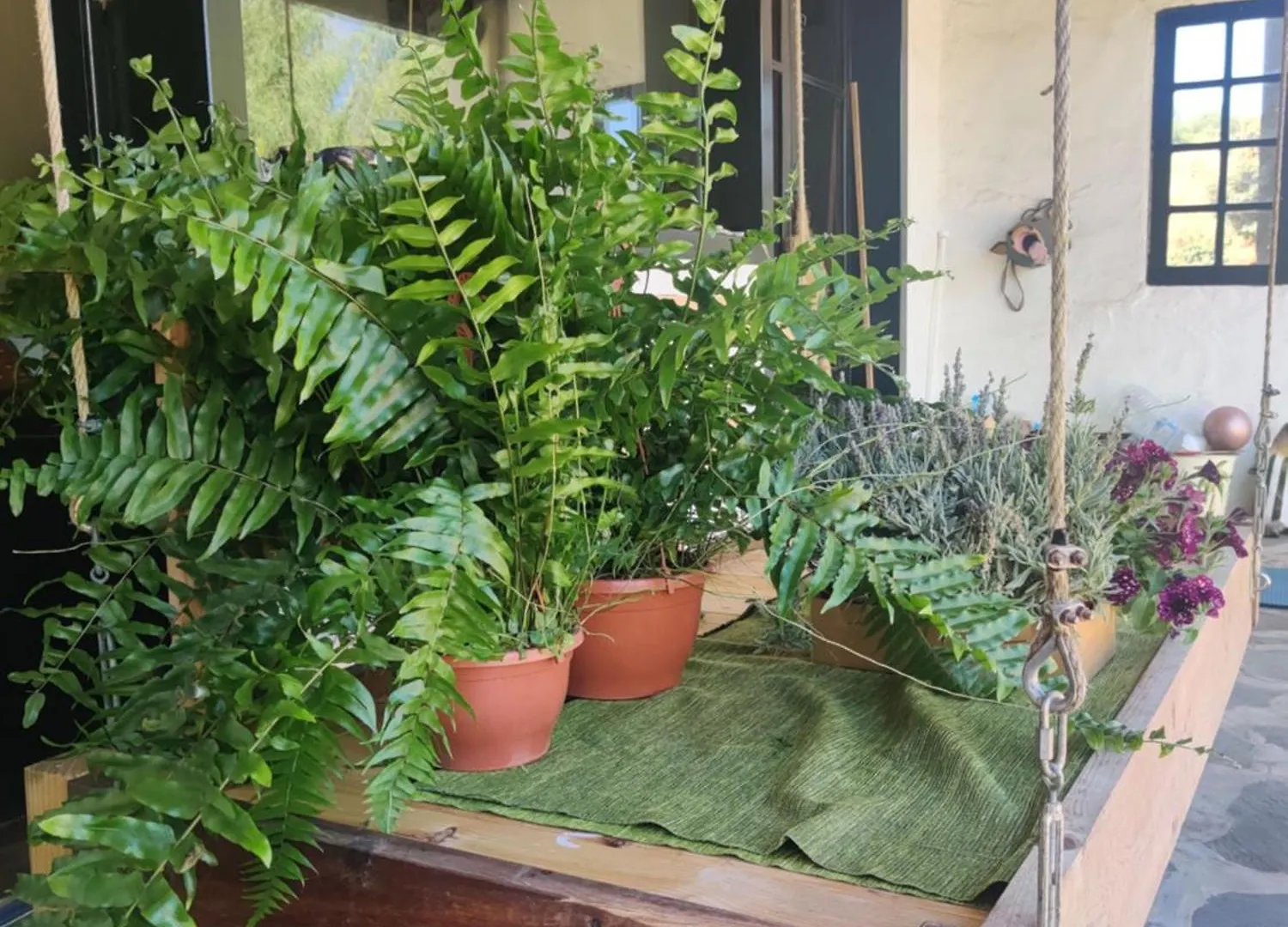 Estudio Wabi-Sabi Santa Brigida  Homestay Santa Brigida (Gran Canaria)