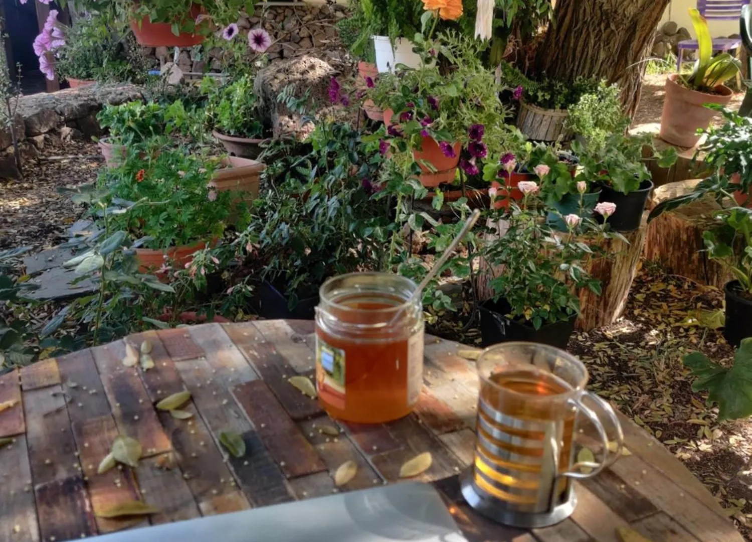 Homestay Estudio Wabi-Sabi Santa Brigida